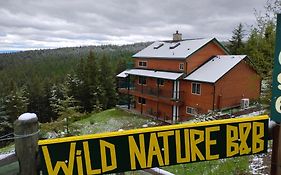 Wild Nature B&B
